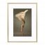 Wissellijst Champagne A1 - Art Print en Passe Partout